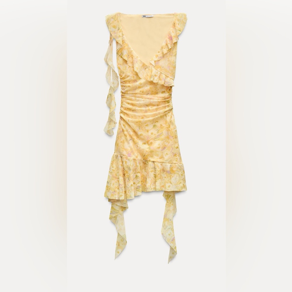 Zara - Short Printed Tulle Dress
